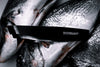Buy Online High quality Fishbone Tweezers - The Best Chef's Knife - Hurricane-Alpha